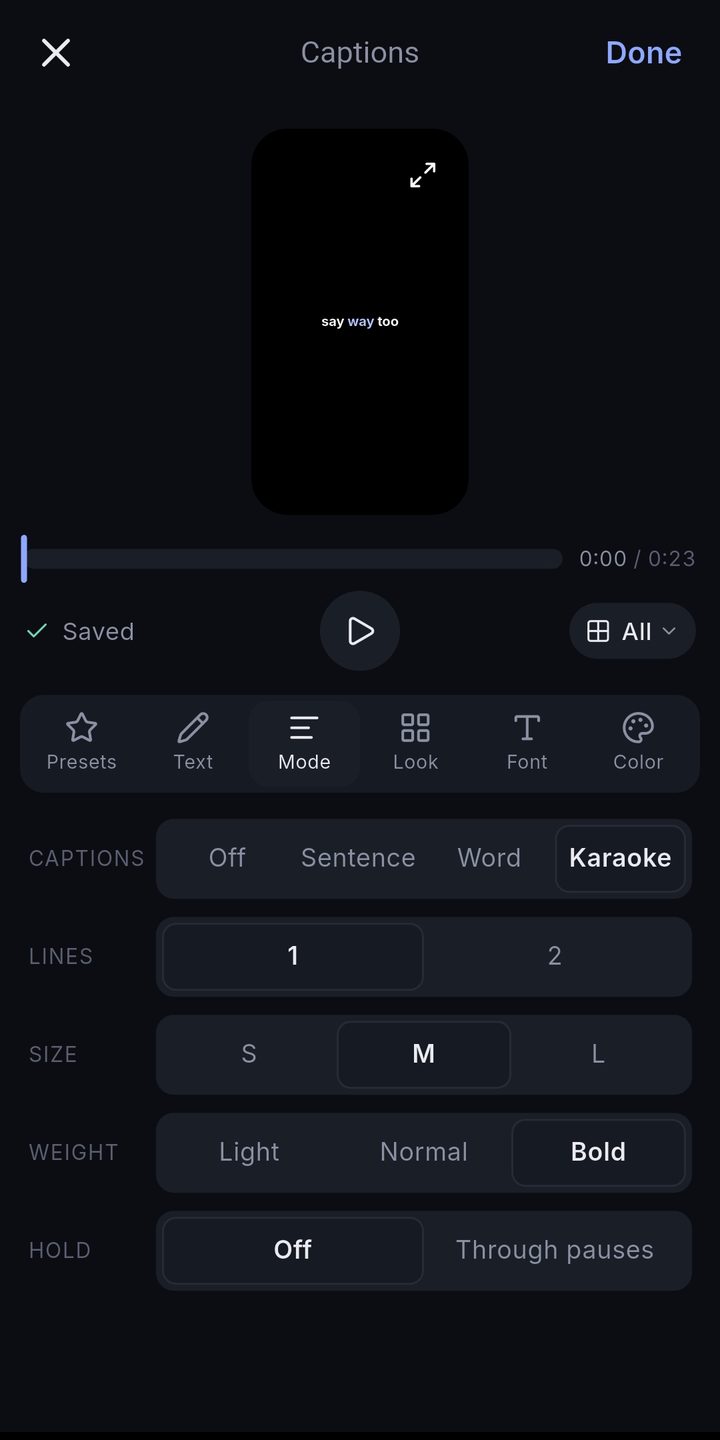 Caption settings: mode, lines, size, weight, hold